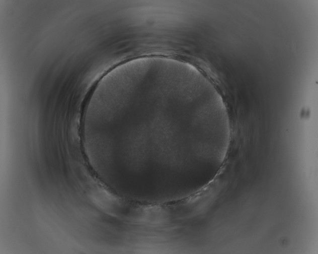 X0000092290146200710121441