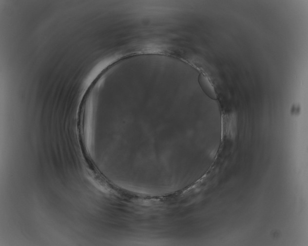 X0000092290147200710121441