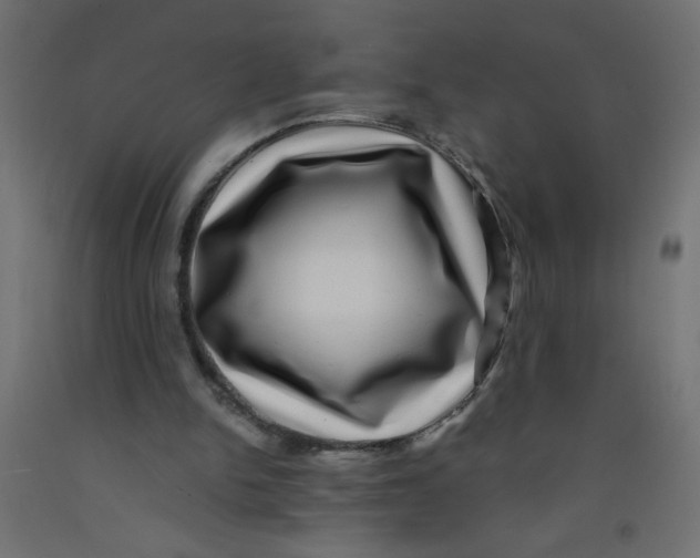 X0000092290150200710121441