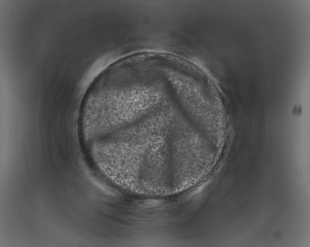 X0000092290151200710121441