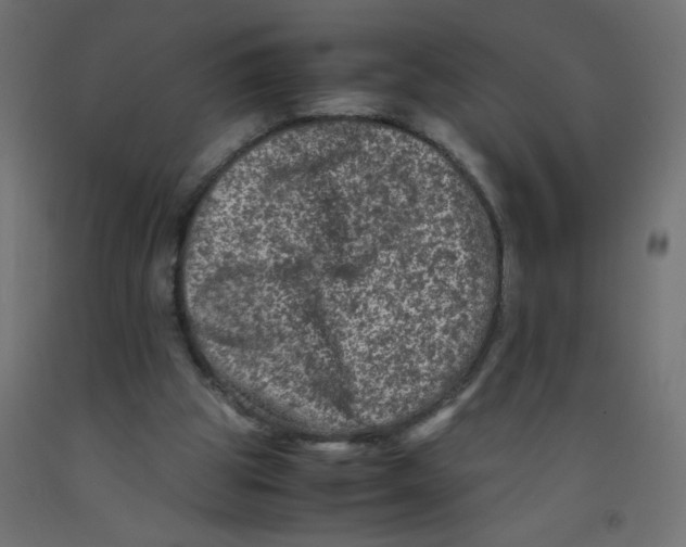 X0000092290153200710121441