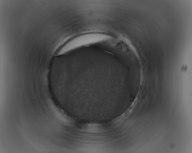 X0000092290154200710121441