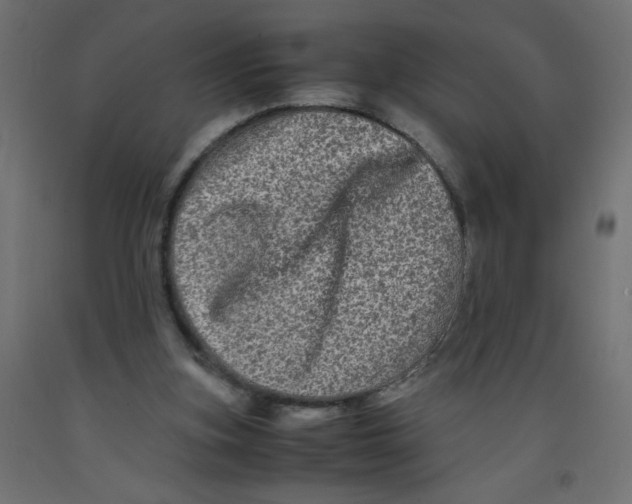 X0000092290155200710121441