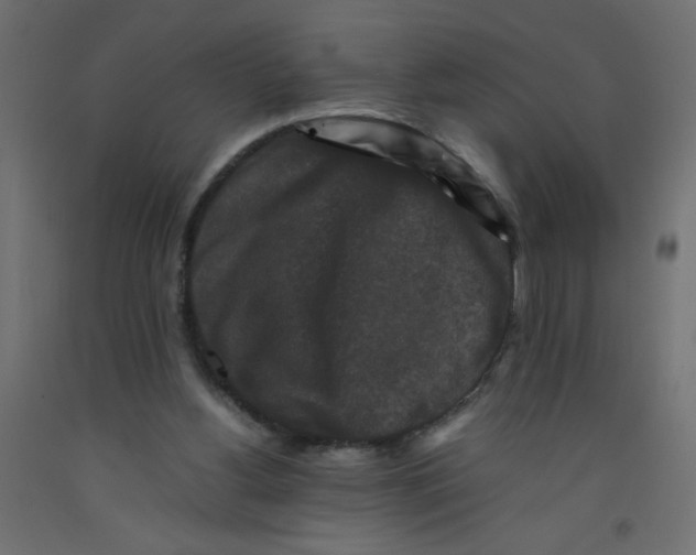 X0000092290156200710121441