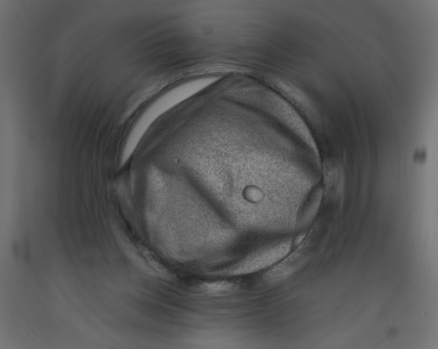 X0000092290158200710121441