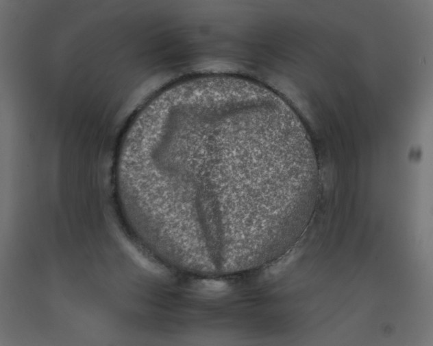 X0000092290159200710121441