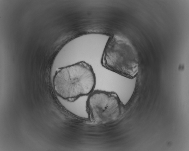 X0000092290161200710121441