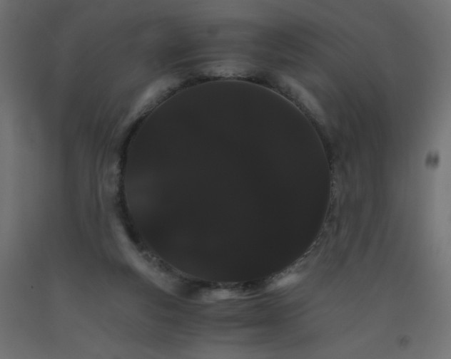 X0000092290163200710121441