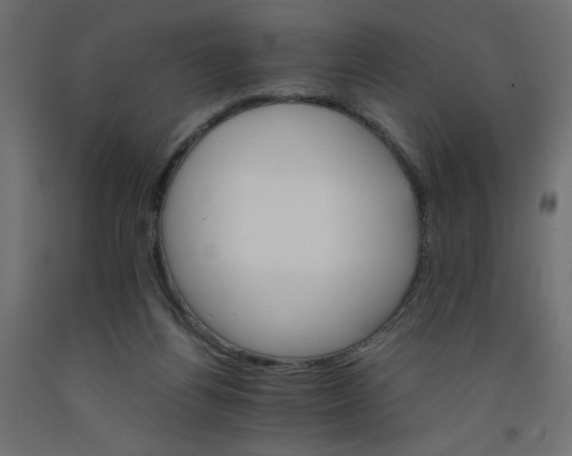 X0000092290164200710121441