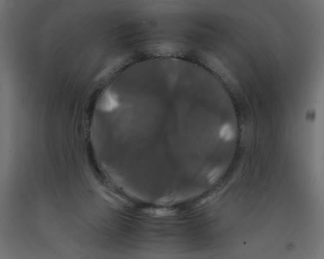 X0000092290165200710121441