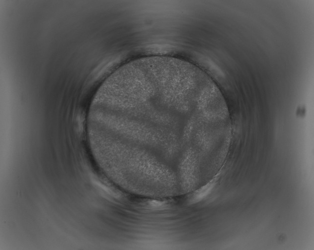 X0000092290166200710121441