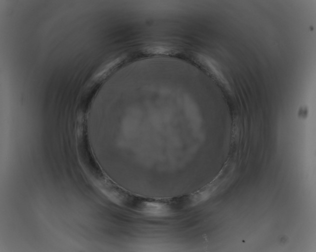 X0000092290167200710121441