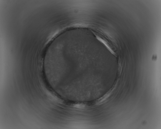 X0000092290168200710121441