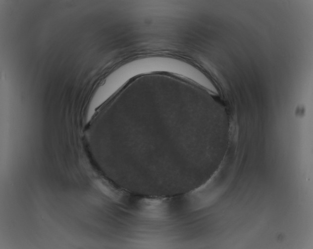 X0000092290170200710121441