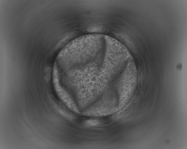 X0000092290171200710121441