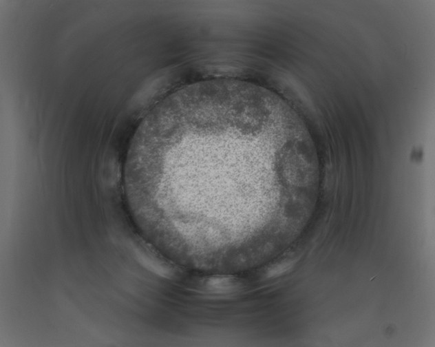 X0000092290173200710121441