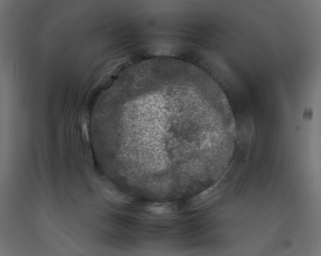 X0000092290175200710121441