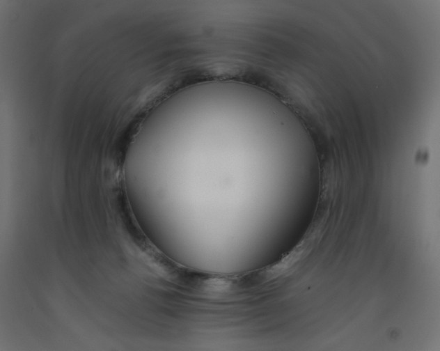 X0000092290176200710121441