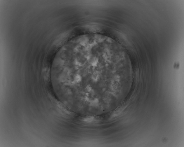 X0000092290177200710121441