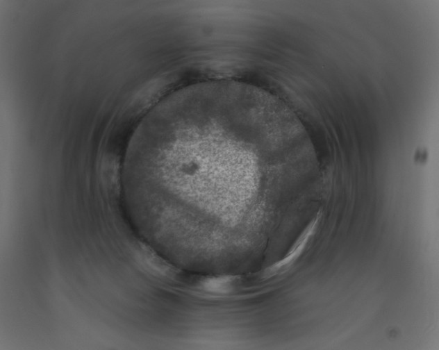 X0000092290178200710121441