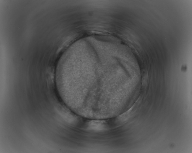 X0000092290179200710121441