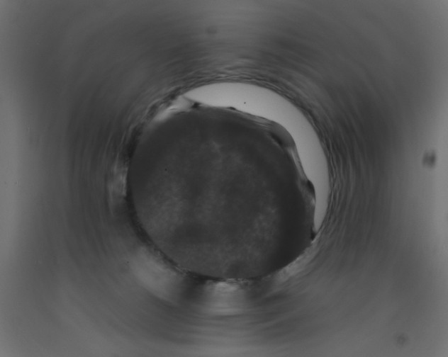 X0000092290180200710121441