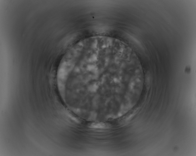 X0000092290181200710121441