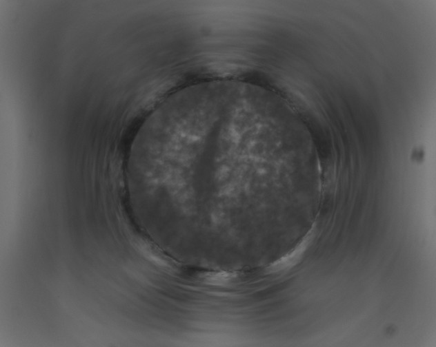 X0000092290182200710121441