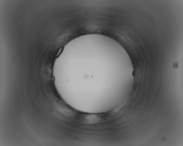 X0000092290183200710121441