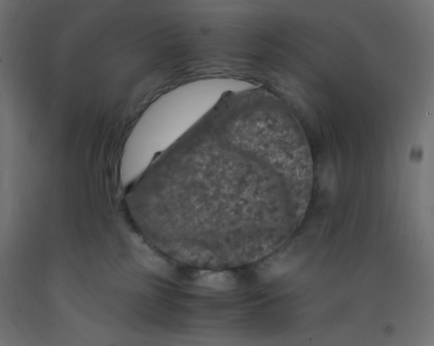 X0000092290185200710121441