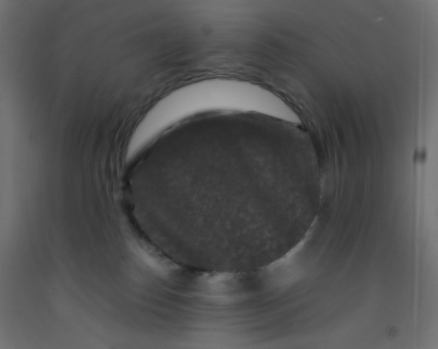 X0000092290186200710121441