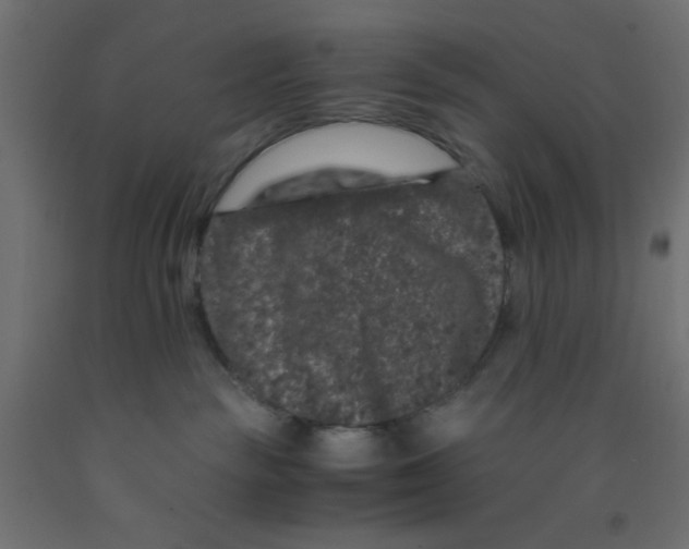 X0000092290189200710121441