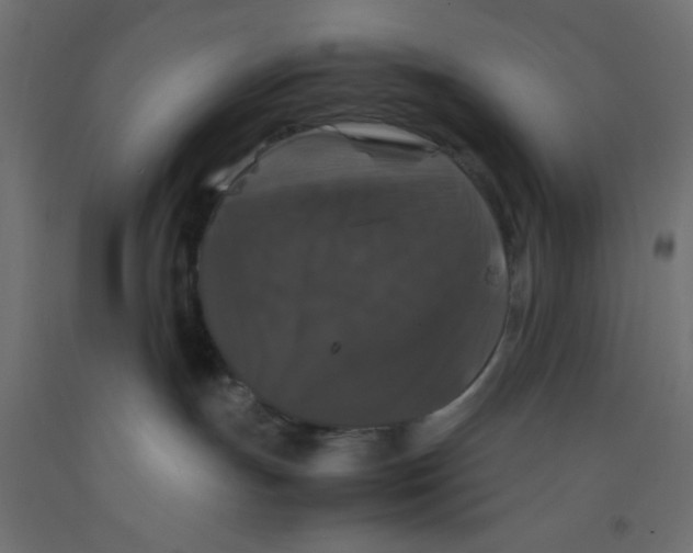 X0000092290191200710121441