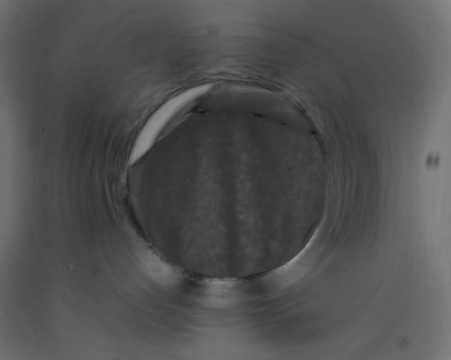 X0000092290192200710121441