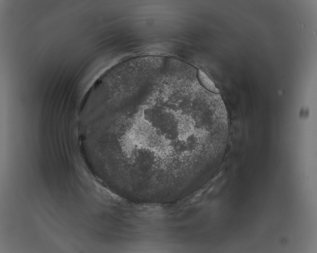 X0000092290194200710121441