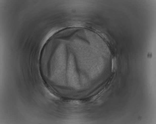 X0000092290195200710121441