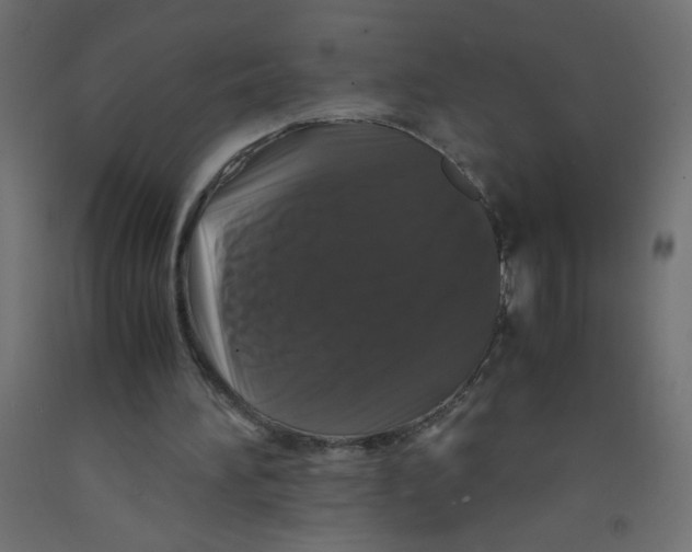 X0000092290196200710121441