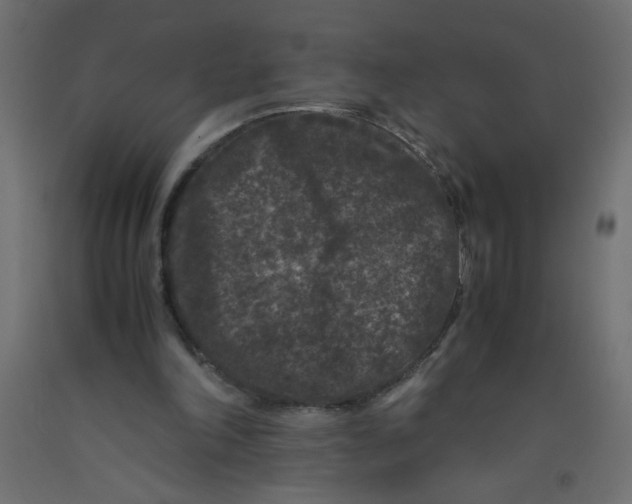 X0000092290198200710121441