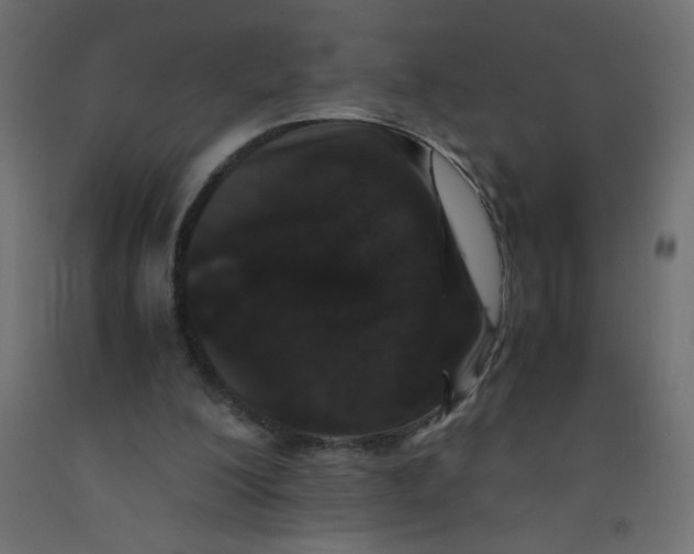 X0000092290200200710121441