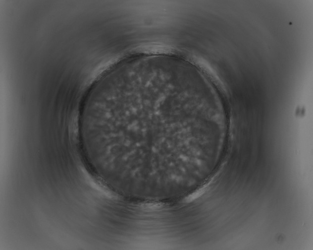 X0000092290202200710121441