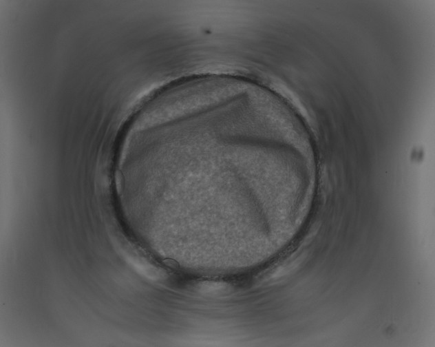 X0000092290203200710121441