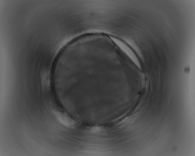 X0000092290204200710121441