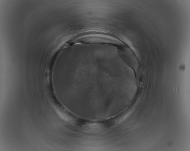 X0000092290205200710121441