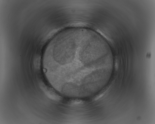 X0000092290206200710121441