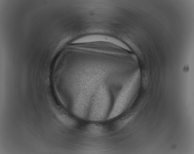 X0000092290207200710121441