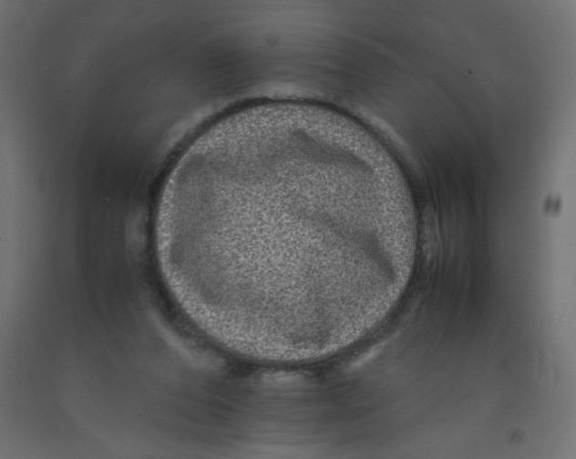 X0000092290208200710121441