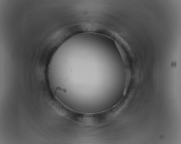 X0000092290209200710121441