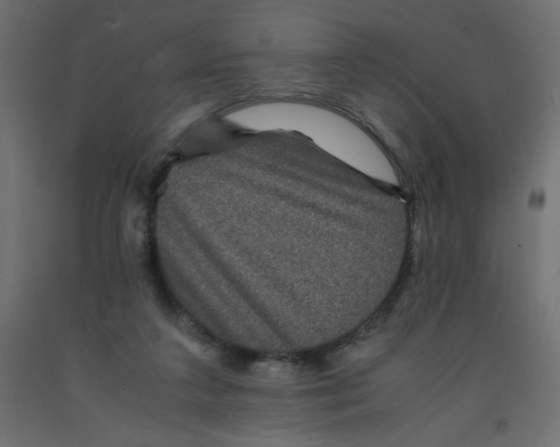 X0000092290211200710121440