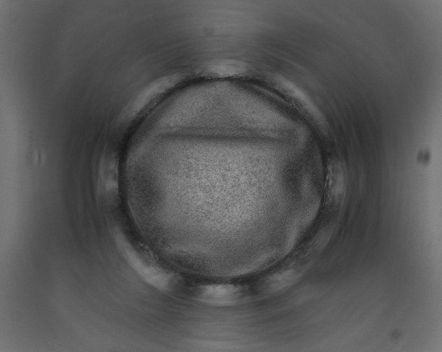 X0000092290212200710121440