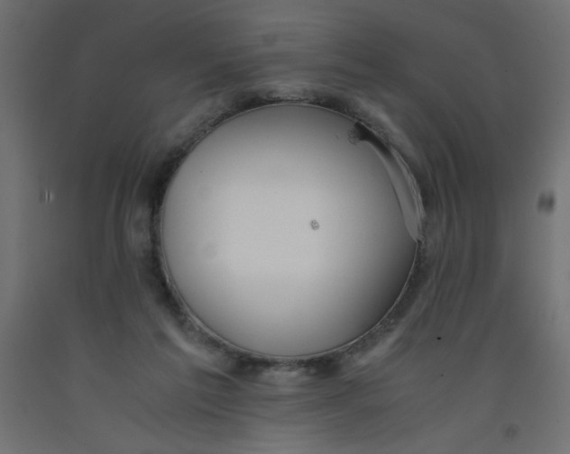 X0000092290213200710121440